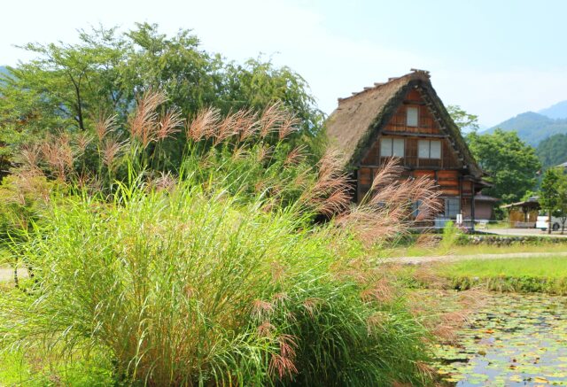 秋の白川郷