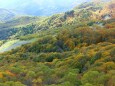 色づき始めの栂池高原