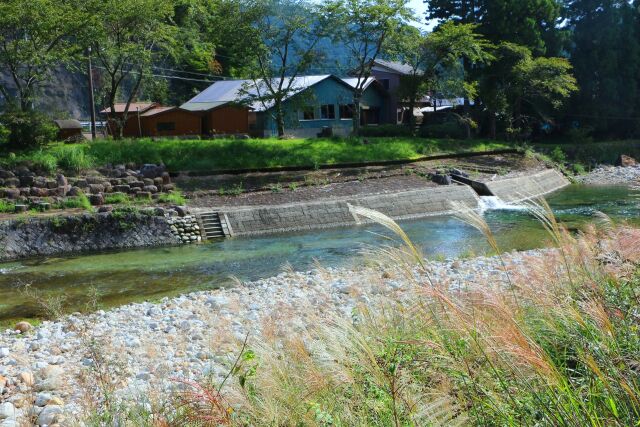 秋の清流