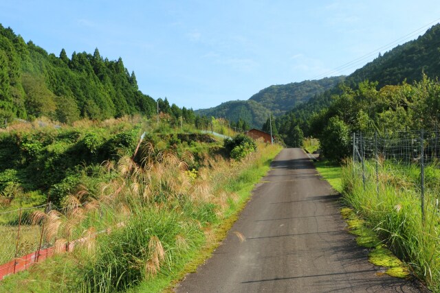 秋の里山