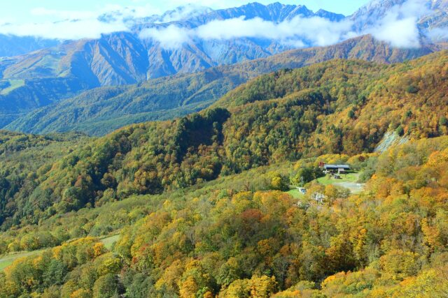 秋の栂池高原