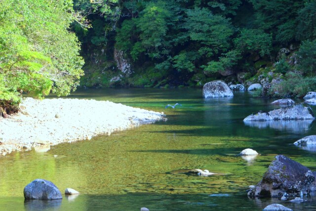 秋の清流