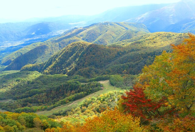 秋の栂池高原