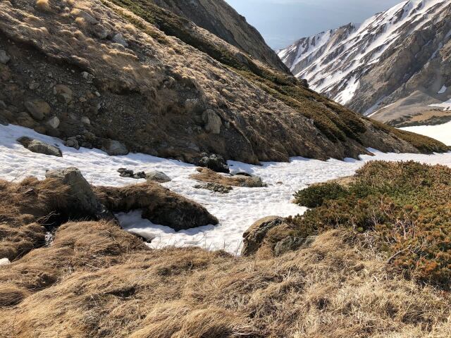 小雪渓にて