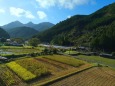 秋の里山