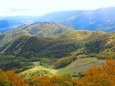 秋の栂池高原