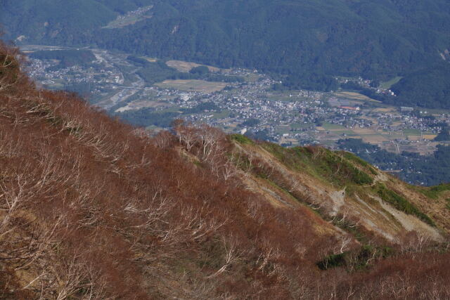 白馬の街を望む