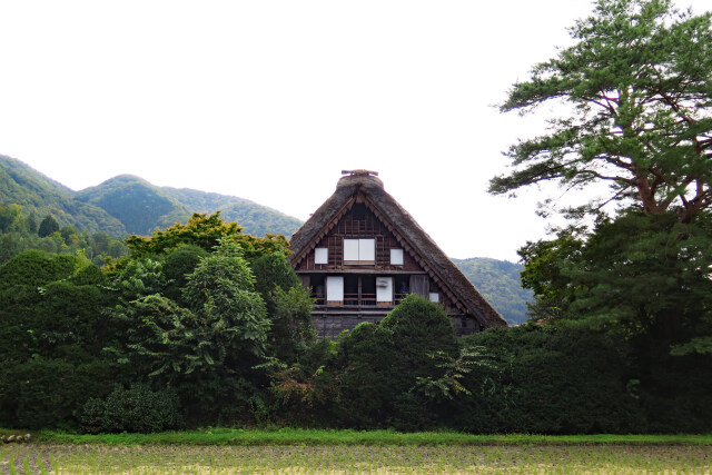 白川郷「和田家」