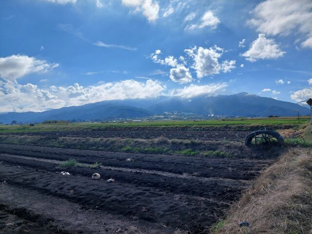 下原スイカの名産地、波田