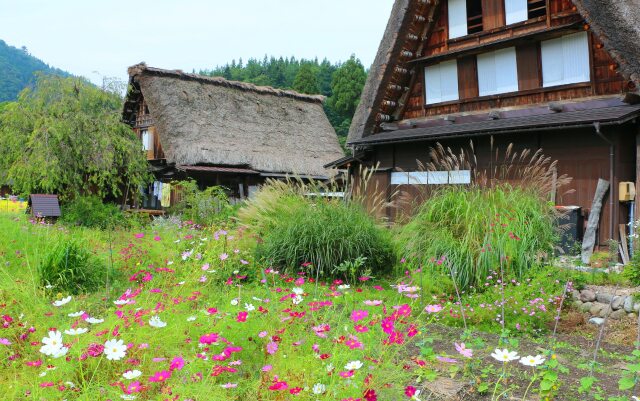 秋の白川郷