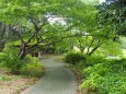 秋の昭和記念公園