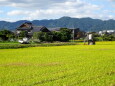 10月初旬 昼下がりの静かな里