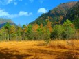 秋の田代湿原