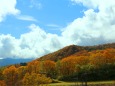 栂池高原紅葉