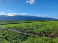 雨上がりの松本