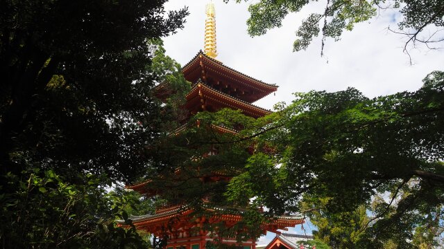 秋の高幡不動尊