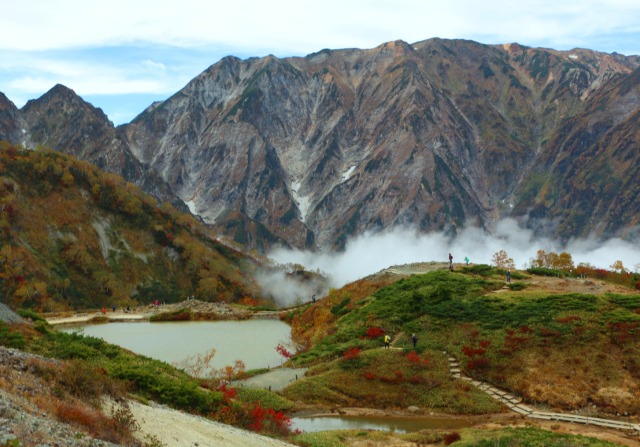 八方池紅葉