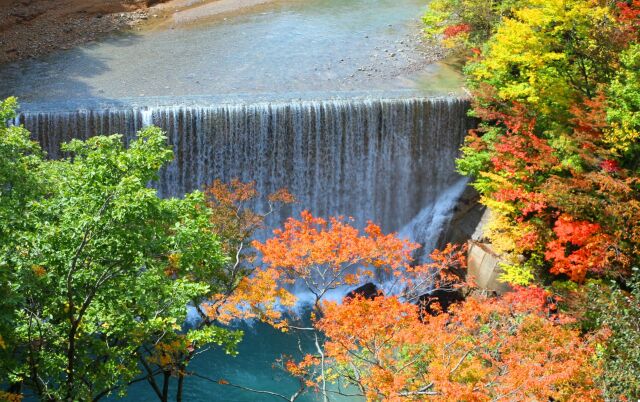 八幡平紅葉