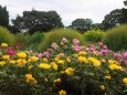 昭和記念公園のブーケガーデン