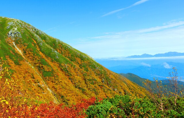 秋の駒ヶ岳