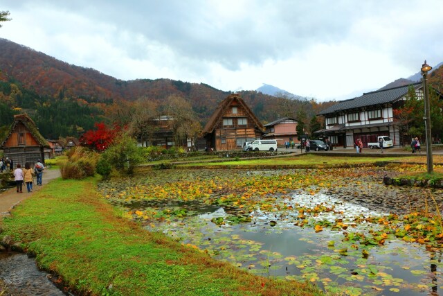 秋の白川郷