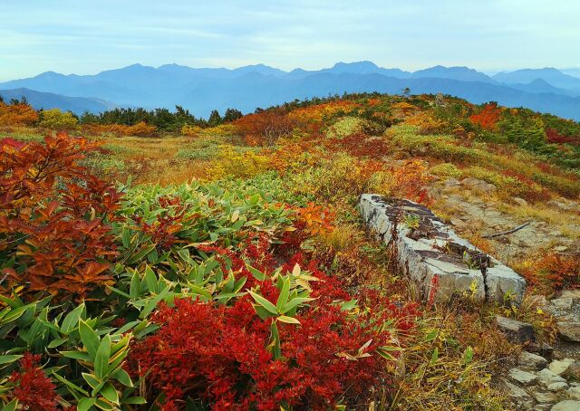 八方尾根紅葉