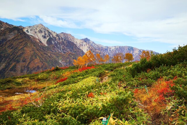 八方尾根紅葉