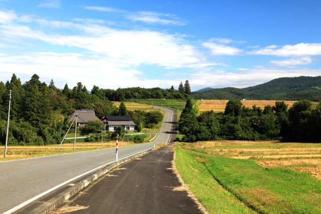 秋の一本道