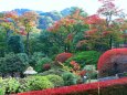 日光山輪王寺庭園紅葉