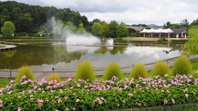 秋の越後丘陵公園