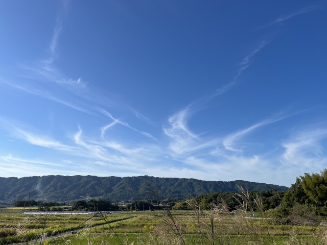 秋の空