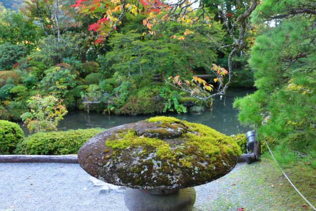 秋の日光輪王寺庭園