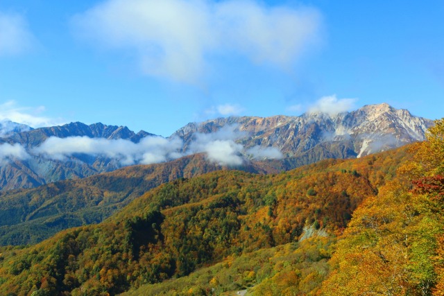 栂池高原紅葉