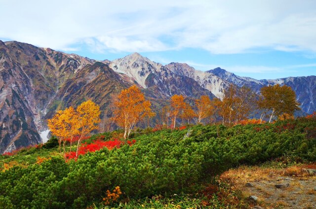 八方尾根紅葉