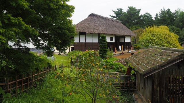 秋の昭和記念公園