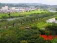 船岡城址公園から見る秋の風景