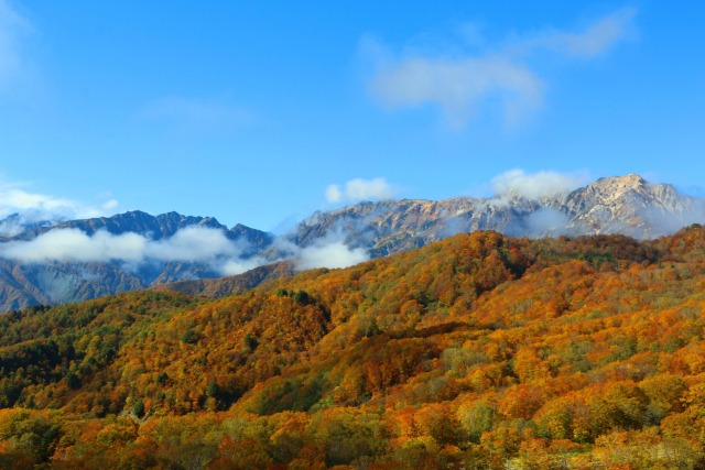 栂池高原紅葉