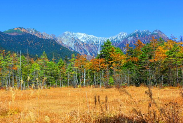 秋の田代湿原