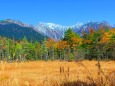 秋の田代湿原