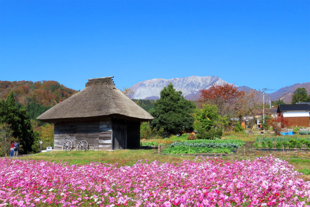 紅葉の大山と茅葺き小屋