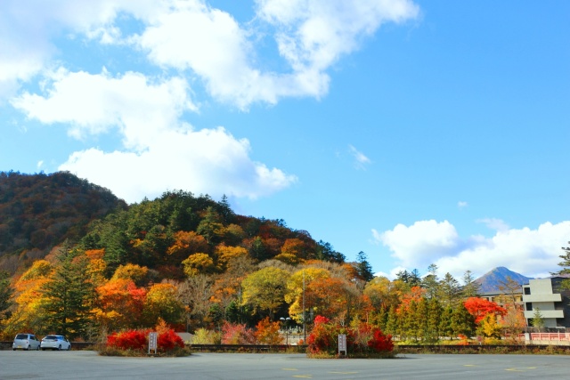 日光いろは坂紅葉