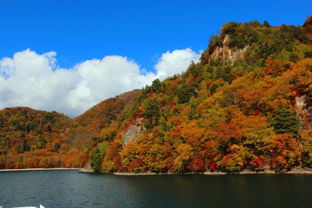 中禅寺湖紅葉