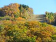 志賀高原紅葉