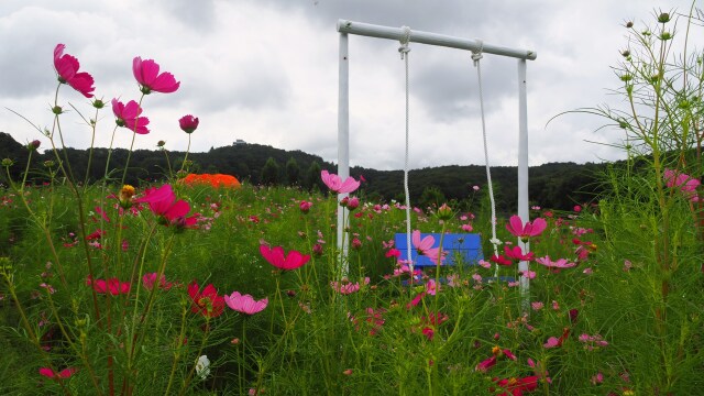 秋の越後丘陵公園