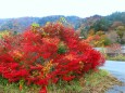 日光いろは坂紅葉