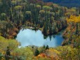 秋の栂池自然園