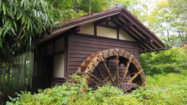 秋の府中市郷土の森博物館