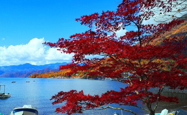 中禅寺湖紅葉