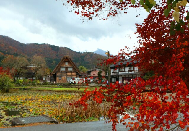 秋の白川郷