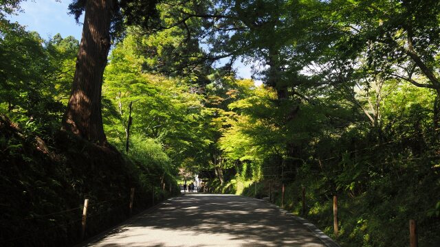 秋の中尊寺